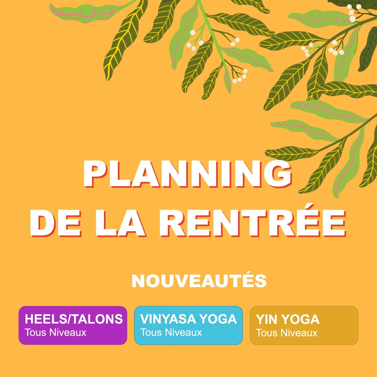 ANNONCE-PLANNING-RENTRÉE-SALSADANSE ANNONCE-PLANNING-RENTRÉE-SALSADANSE